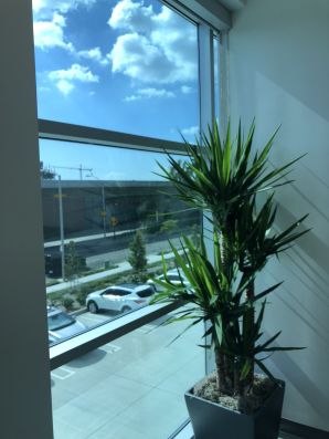 Commercial Window Cleaning in Saint George, UT (5)