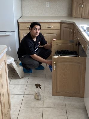 House Cleaning in Washington, UT (7)